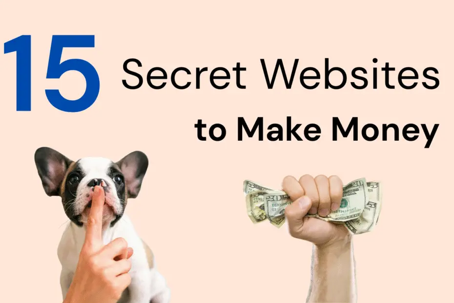 top 15 secret websites to make money